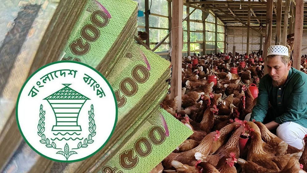 তরুণ উদ্যোক্তারা পাবেন ২০ লাখ টাকা ঋণ
